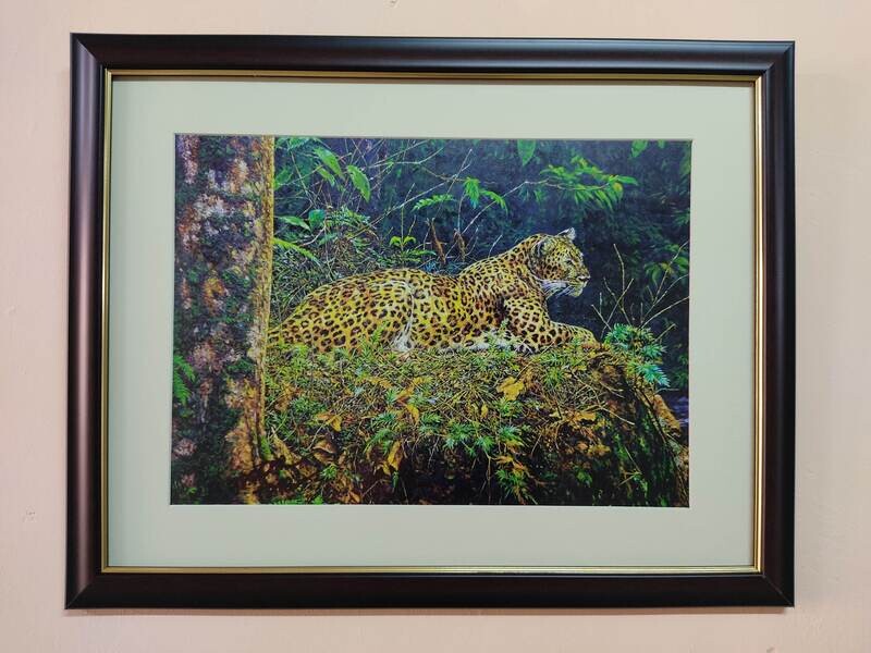 Fine Art Prints