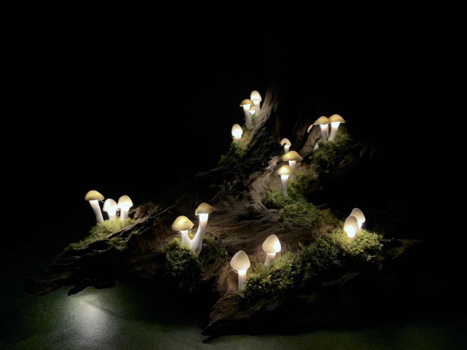 Example Mushroom Lamp - Not For Sale 