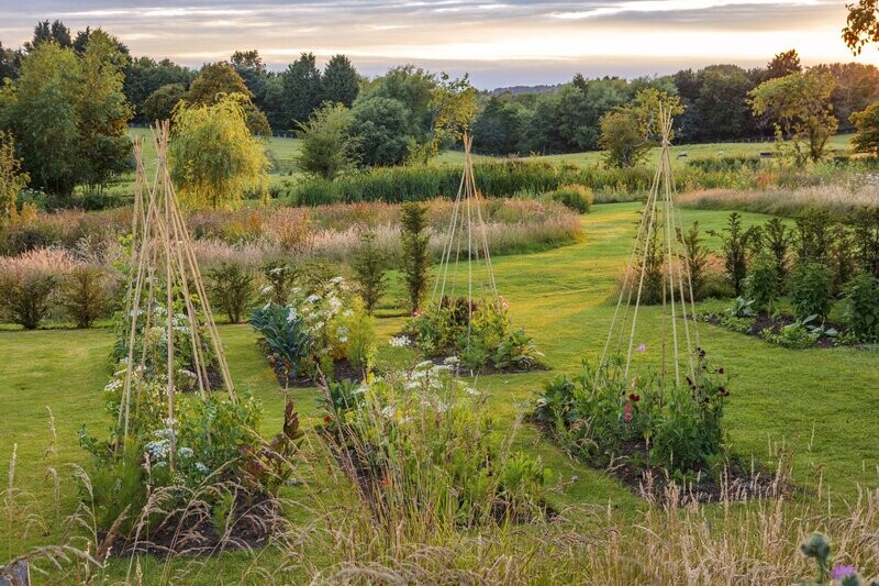 Introductory garden design consultation