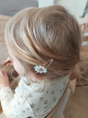 Haarspeldjes