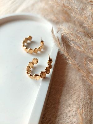 Round shell earrings
