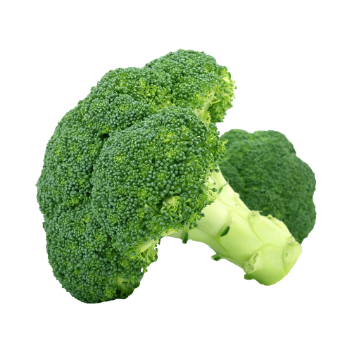 Broccolo Italiano