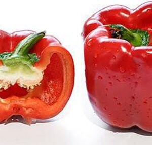 Pepper