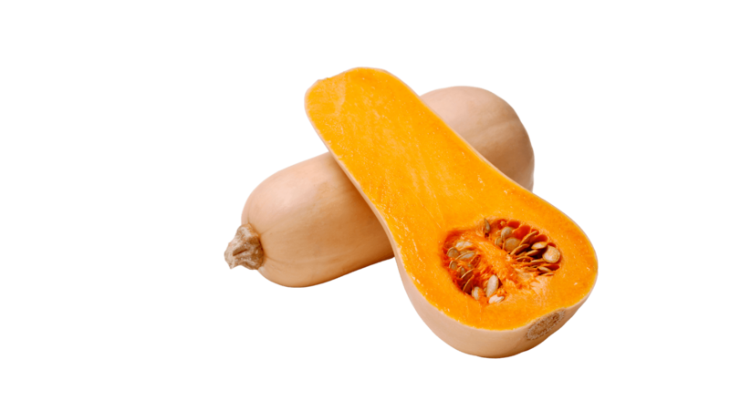 Zucca Butternut