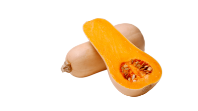 Zucca Butternut