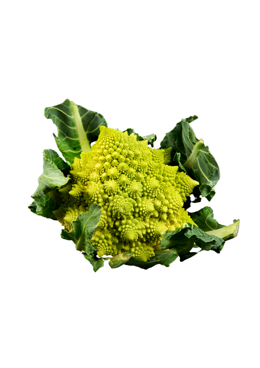 Romanesco