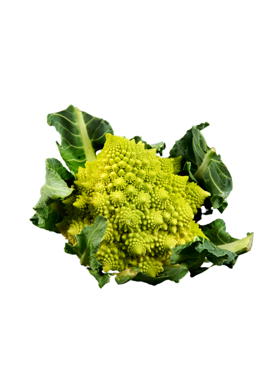 Romanesco