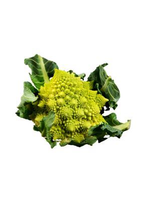 Romanesco Broccoli
