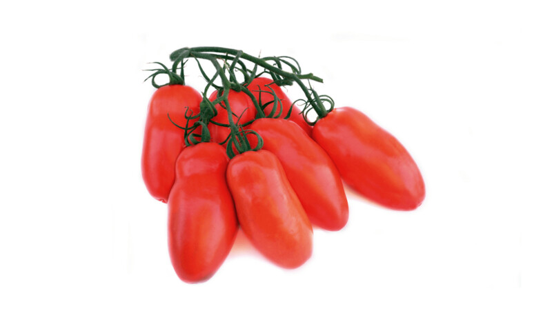 Pomodoro da Industria (Docet F1)