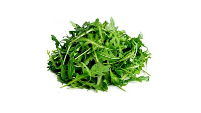 Rucola