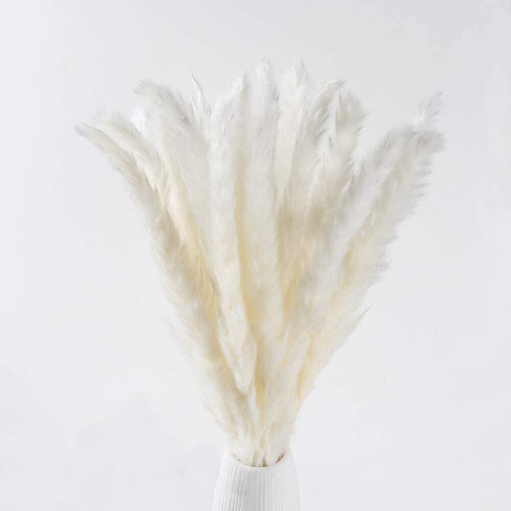 25pcs Natural Dried Pampas Grass