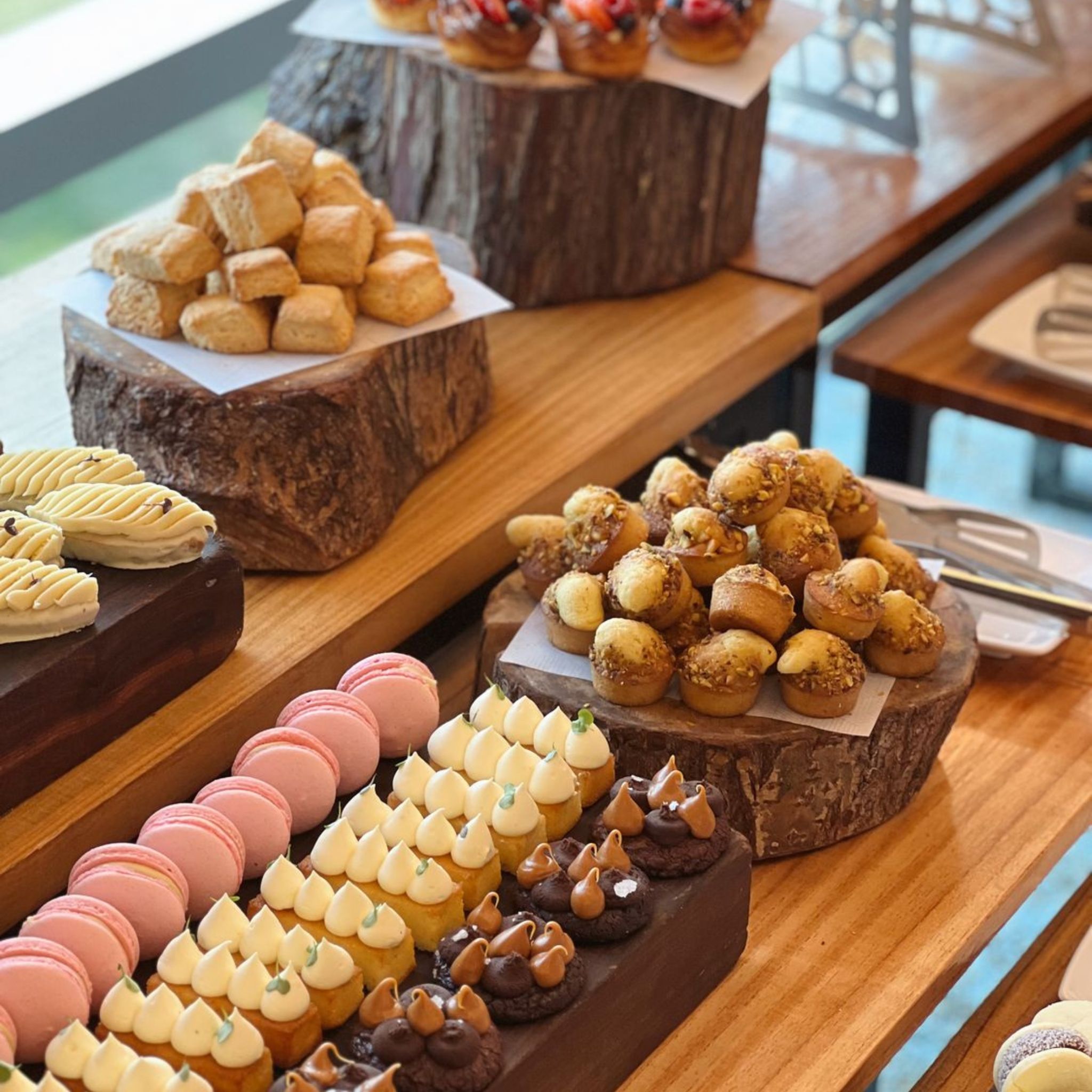 Bloom Bear Tea Party- Vacaciones de Invierno