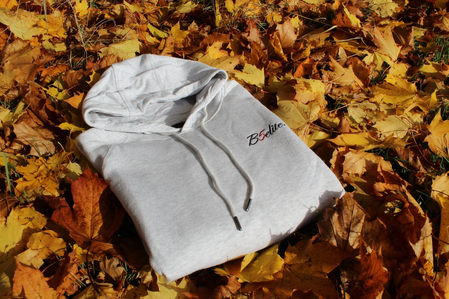 Hoodie Ash