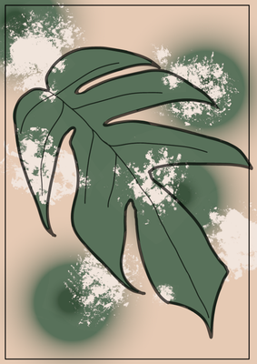 Epipremnum / Scindapsus / Efeutute