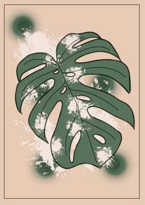 Monstera