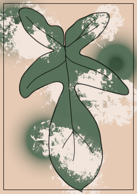 Philodendron