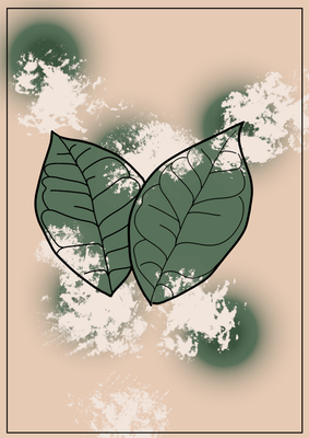 Hoya