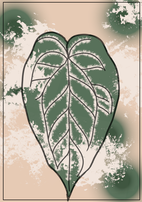Anthurium