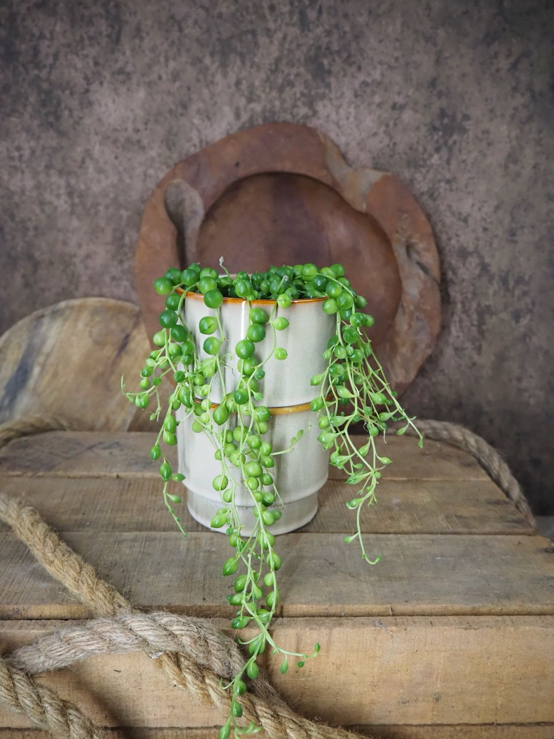String of Pearls