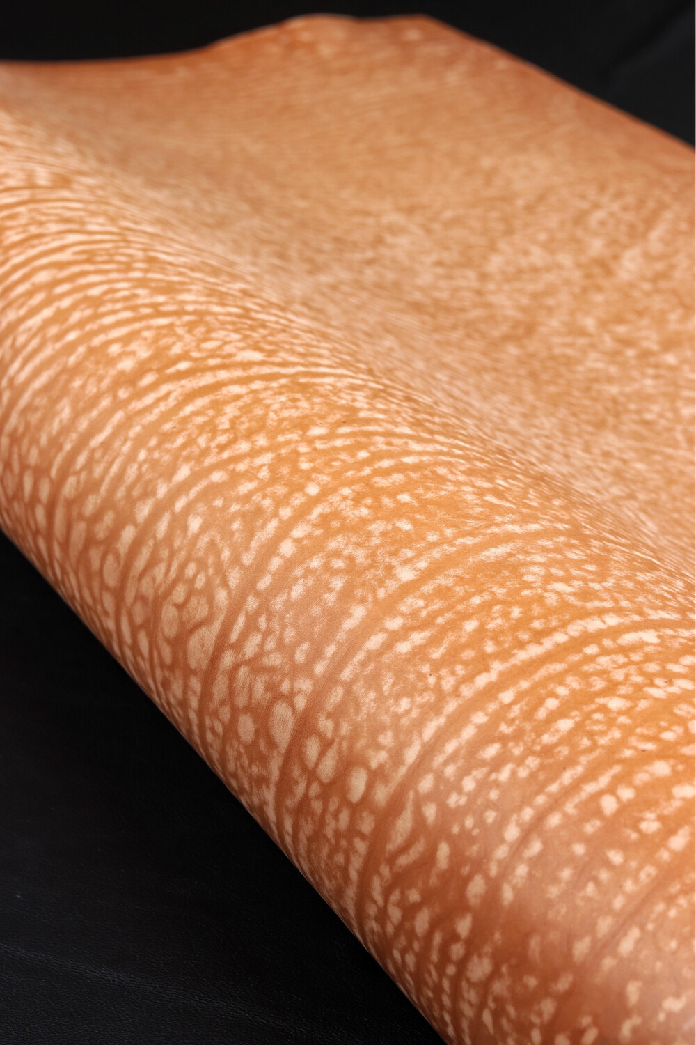 Dessert - Light Brown