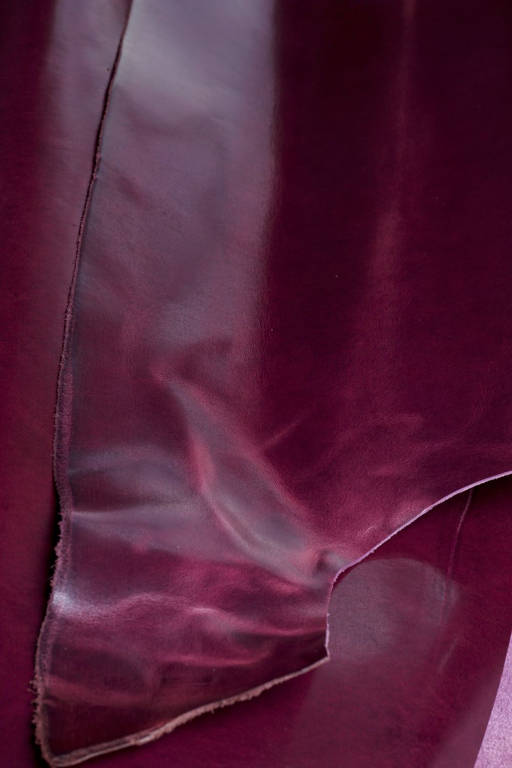 Avancorpo Cavallo Art. TPR - Viola