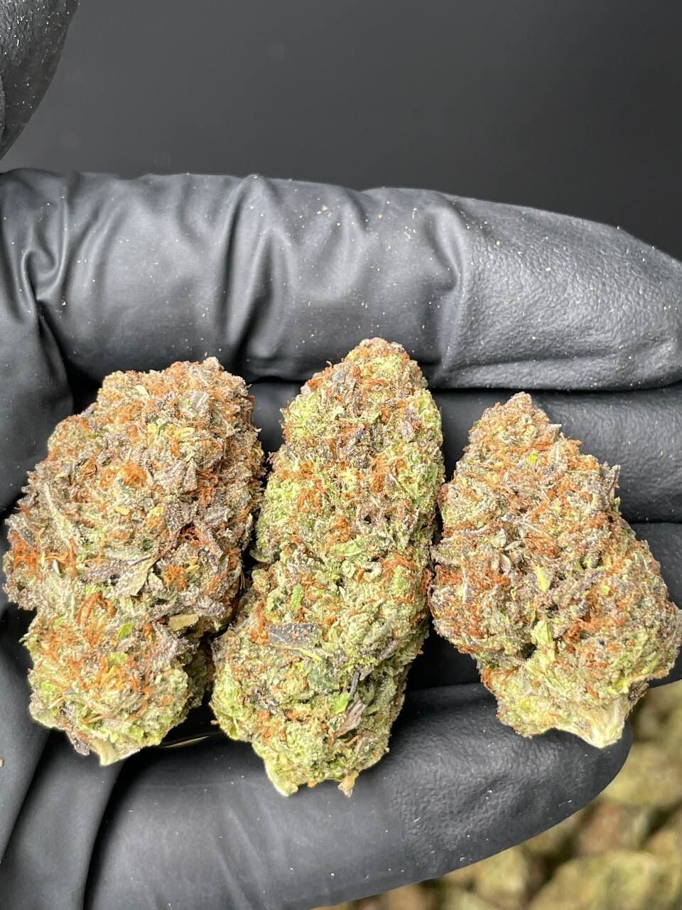 Gelonade, Zkittles x Platinum Cherry,  Dragon OG