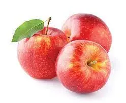 Jabłoń w doniczce jabłonka 'Champion Szampion'