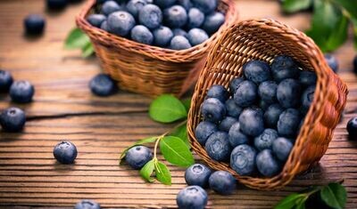 '‘Meader’' Borówka amerykańska Vaccinium corymbosum