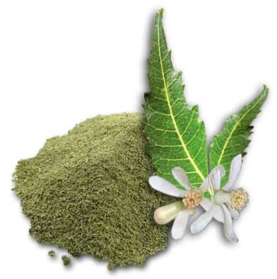 Neem Powder (50 gms)
