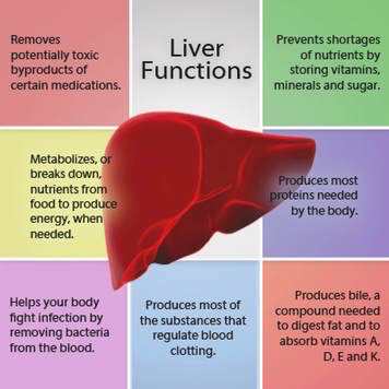 Liver Detox Guidelines