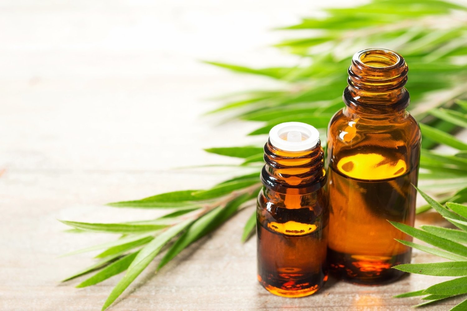 Tea Tree Essential Oil (Australia, 15ml)