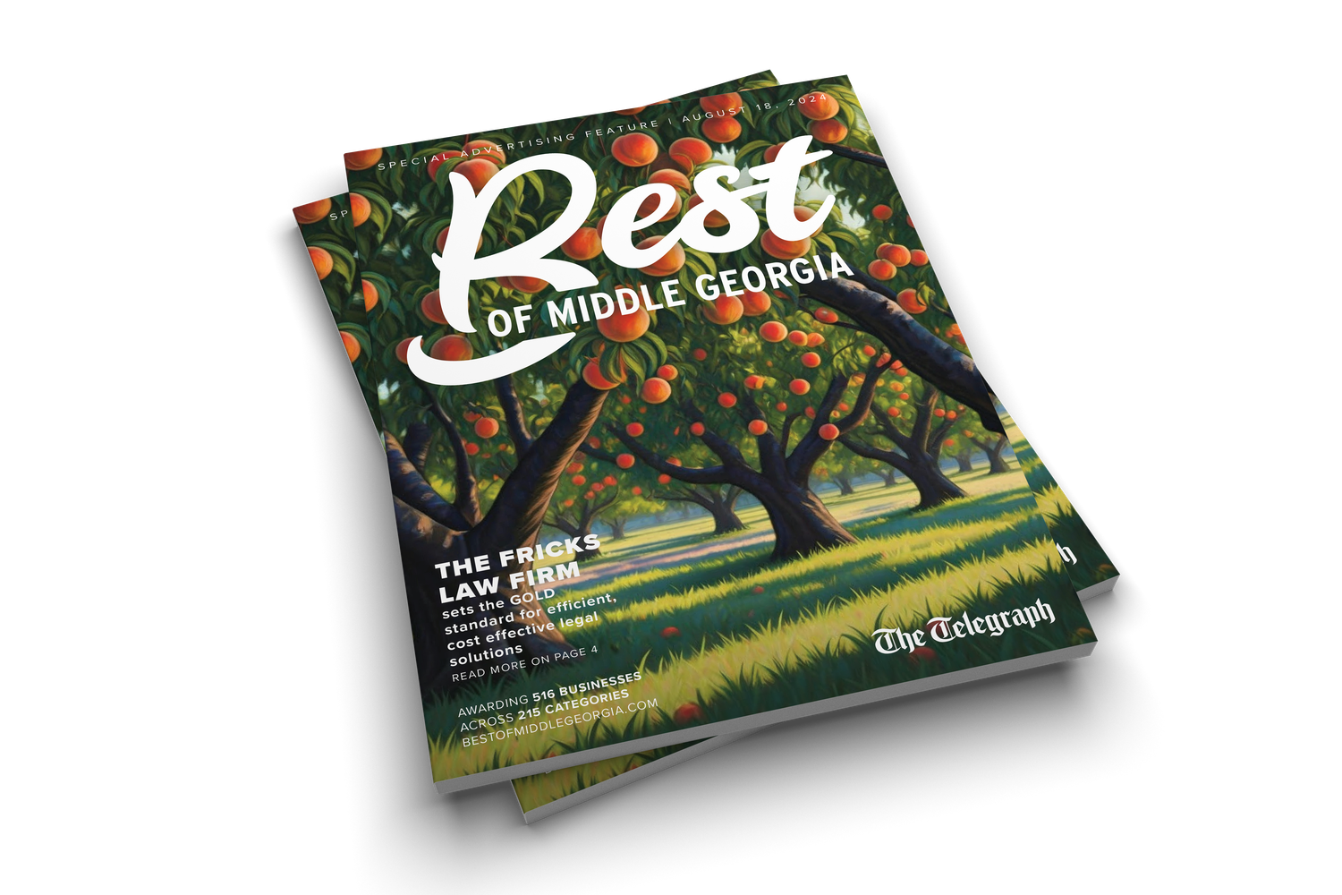 Best of Middle Georgia Magazines (2024)
