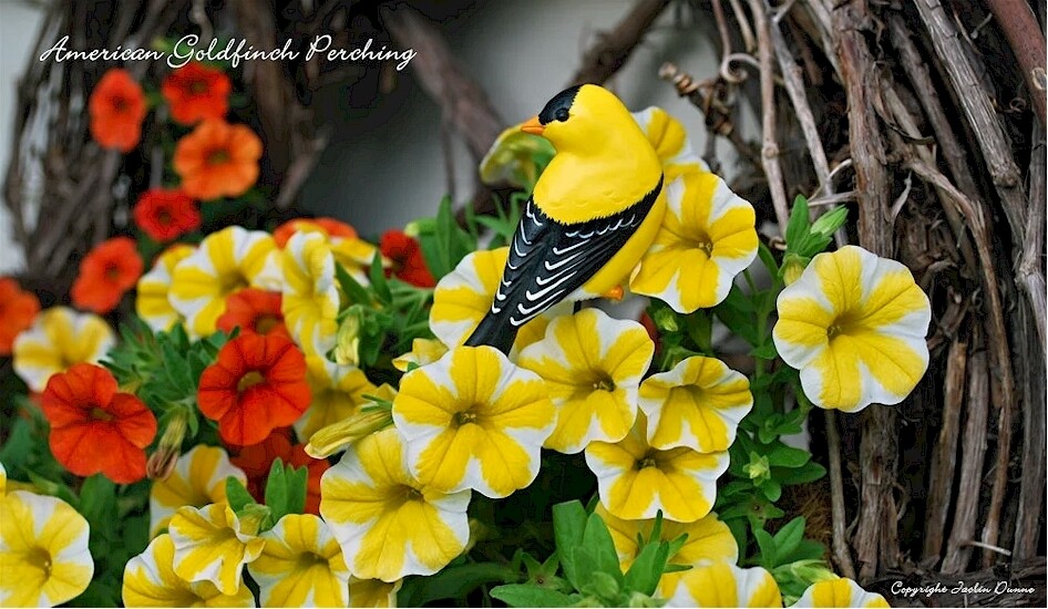 American Goldfinch | Hand Painted Christmas Ornament & Decorative Magnet