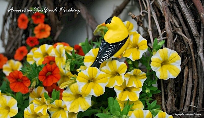 American Goldfinch | Hand Painted Christmas Ornament &amp; Decorative Magnet