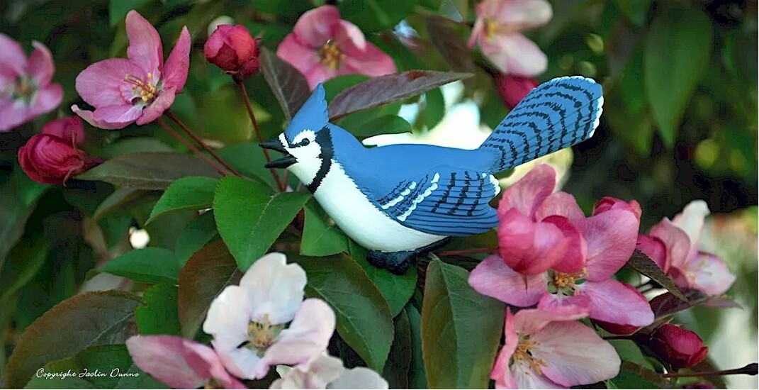 Blue Jay Perching | Hand Painted Christmas Ornament, Decorative Magnet