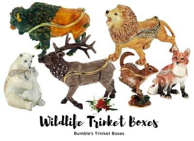 Wild Animals - Wildlife