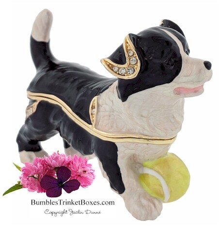 Border Collie Puppy With Tennis Ball Trinket Box