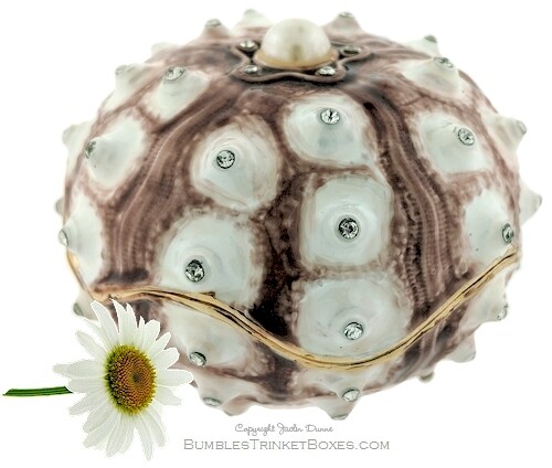 Sea Urchin- White and Brown Trinket Box