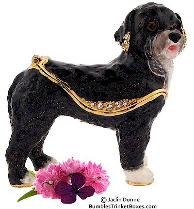 Portguese Water Dog Trinket Box