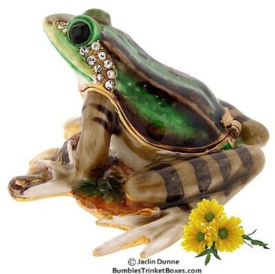 New Green and Brown Frog Trinket Box