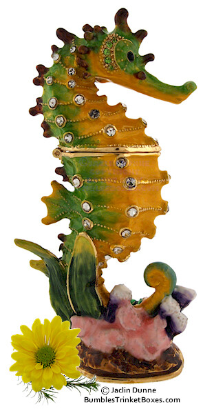 Seahorse-Orange/Green Trinket Box