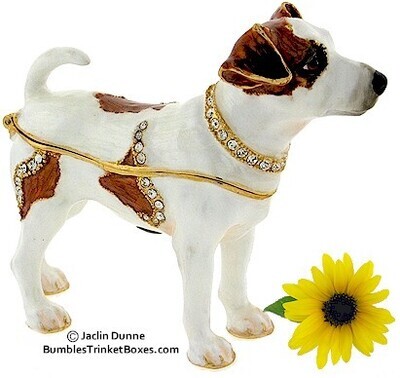 Jack Russell Terrier Trinket Box