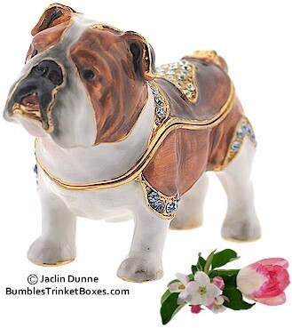 English Bulldog Trinket Box