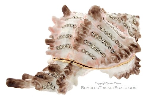 Large Conch Seashell Trinket Box