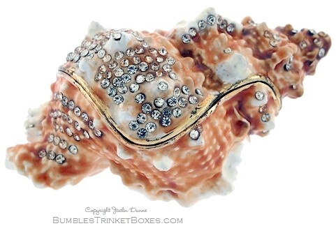 Large Snail Shell Seashell Trinket Box