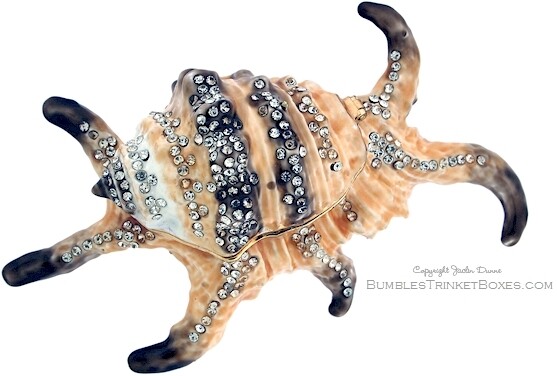 Large Spider Conch Seashell Trinket Box