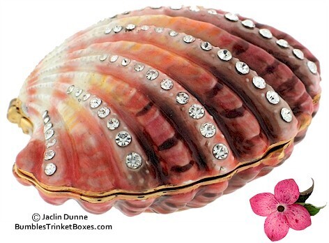 Darker Scallop Shell Trinket Box