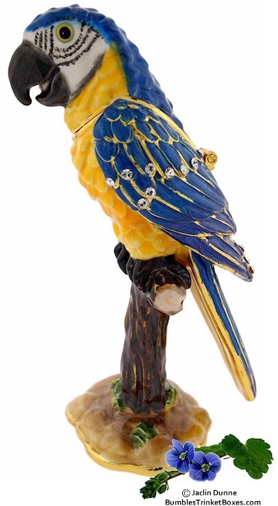Parrot Perching- Macaw Trinket Box
