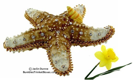 Starfish Trinket Box