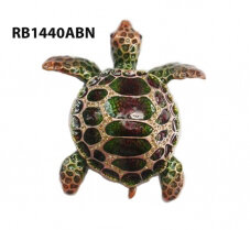 Brown and Green Turtle